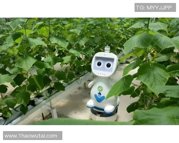 南宫app注册-快速注册南宫app，开启您的智能生活新篇章-南宫app注册
